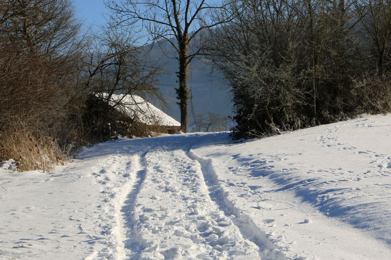 chemin 02 cornol 3653 800px