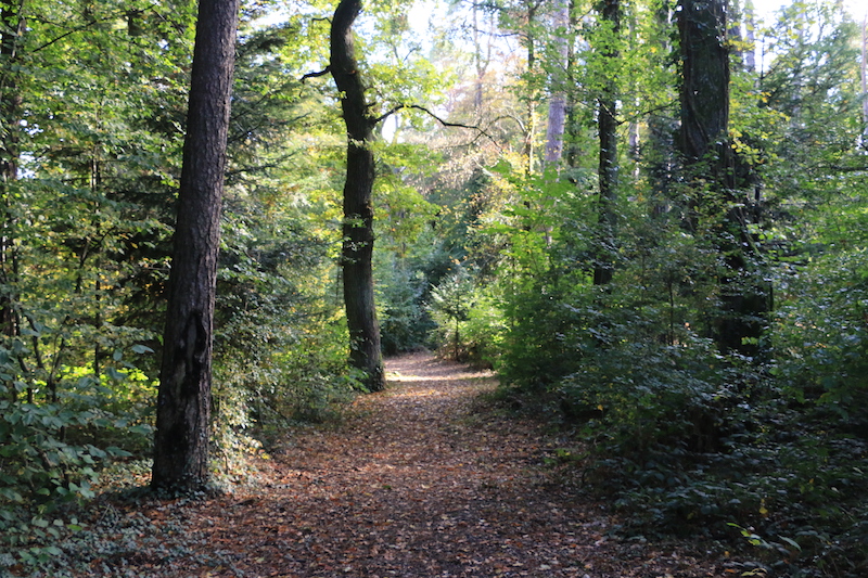 sentier17nov 5170 800px