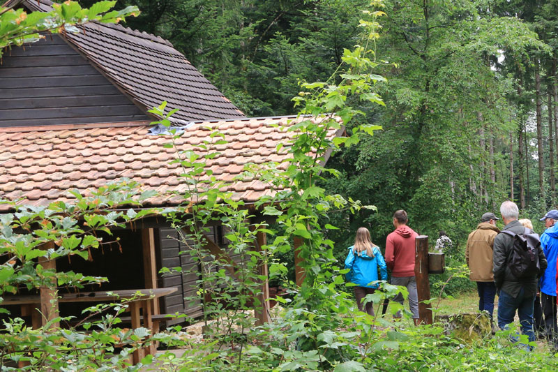 cab foret mormont 4590
