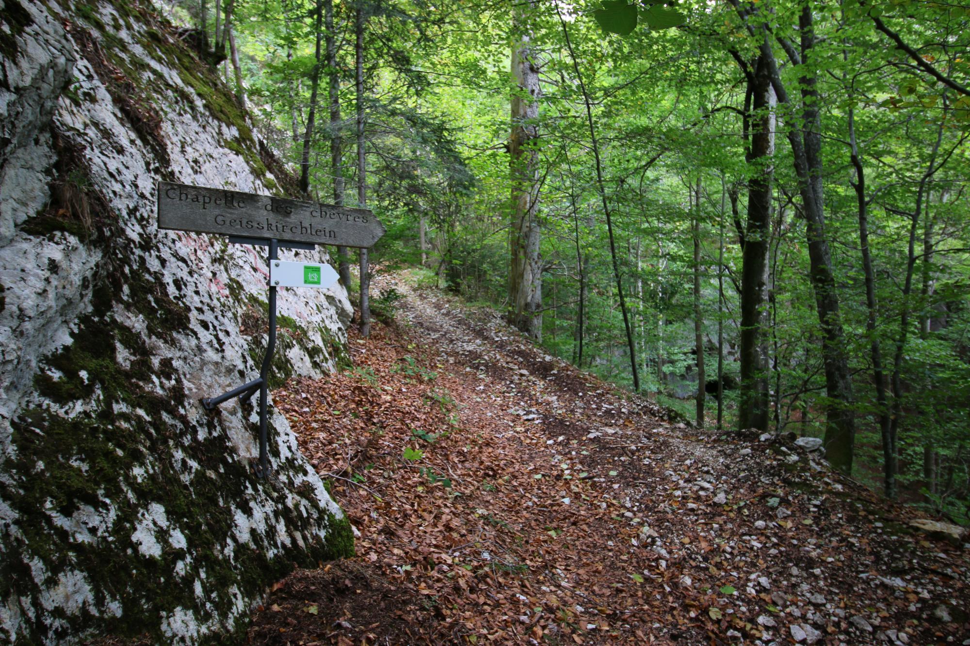 16 sentier de la chapelle des chevres 1 2000